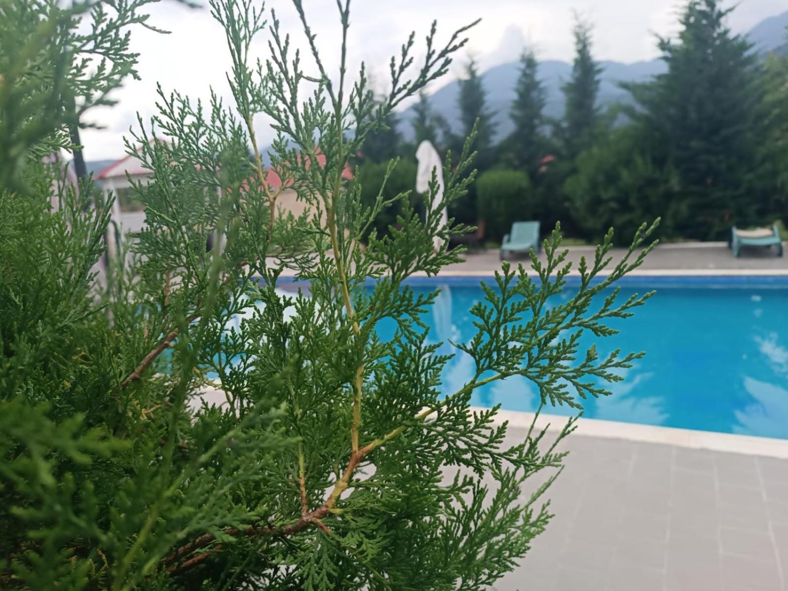 Gabala Bliss Inn Hotel And Restaurant Buitenkant foto