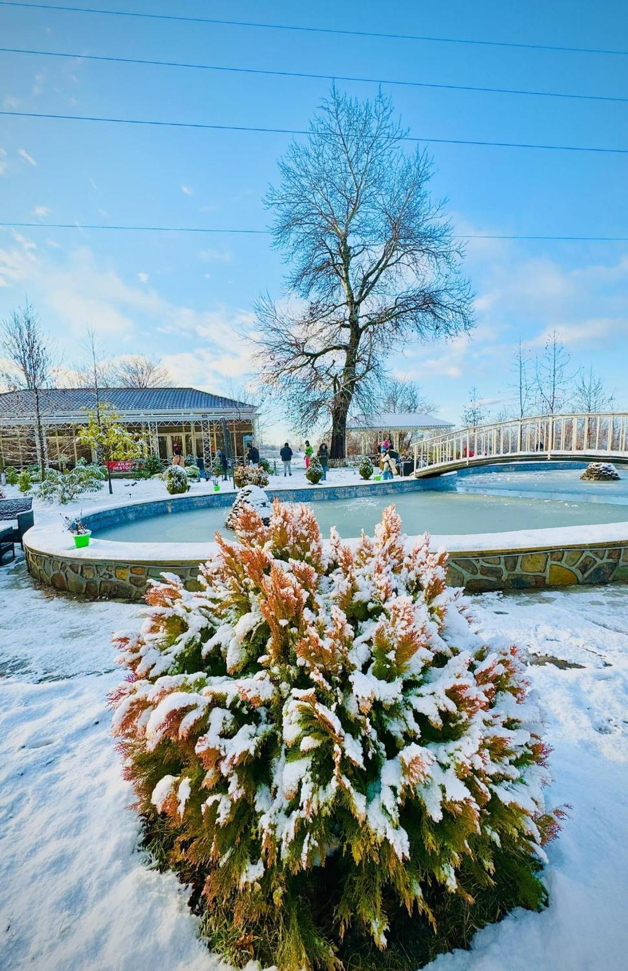 Gabala Bliss Inn Hotel And Restaurant Buitenkant foto